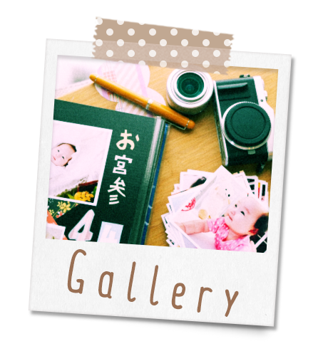 フォトギャラリー
